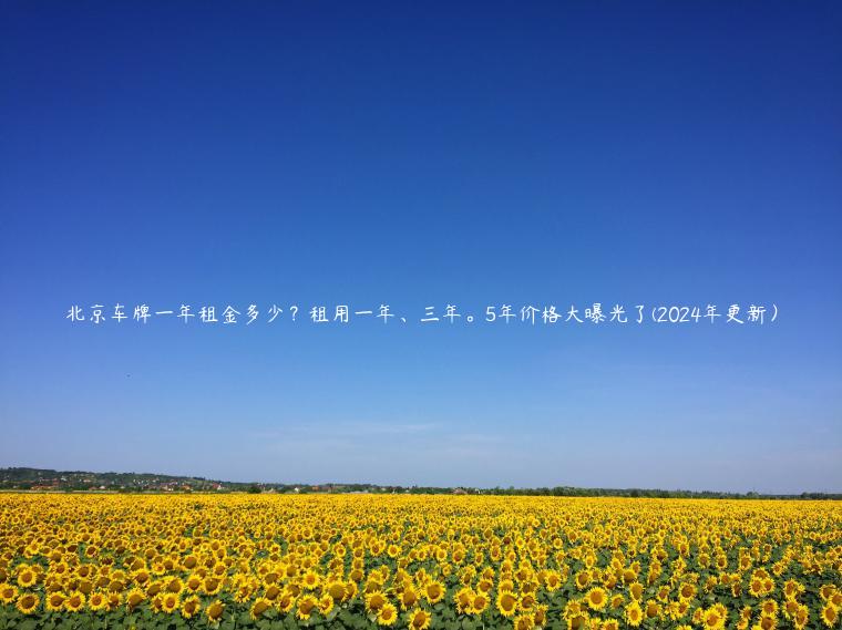 北京车牌一年租金多少？租用一年、三年。5年价格大曝光了(2024年更新）