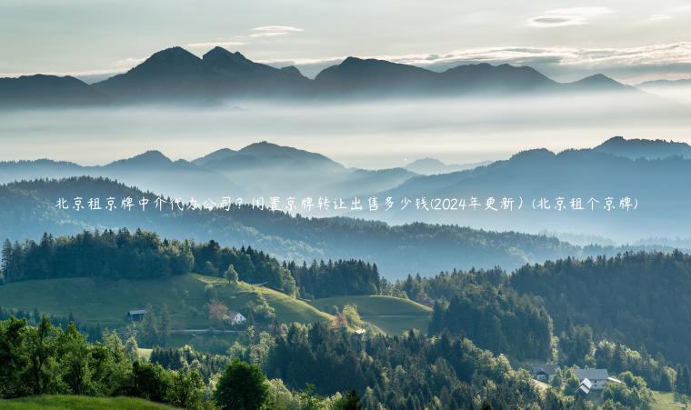 北京租京牌中介代办公司？闲置京牌转让出售多少钱(2024年更新）(北京租个京牌)