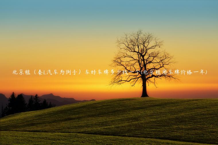 北京租（秦L汽车为例子）车好车牌多少钱一个(北京租用车牌价格一年)