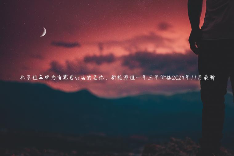 北京租车牌为啥需要4s店的名称、新能源租一年三年价格2024年11月最新