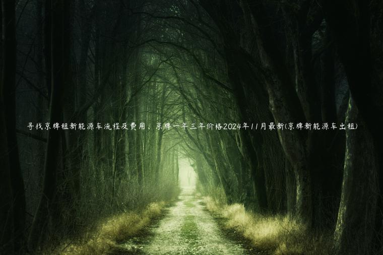 寻找京牌租新能源车流程及费用、京牌一年三年价格2024年11月最新(京牌新能源车出租)