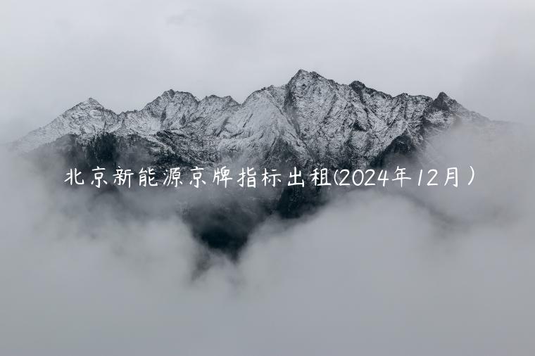 北京新能源京牌指标出租(2024年12月）