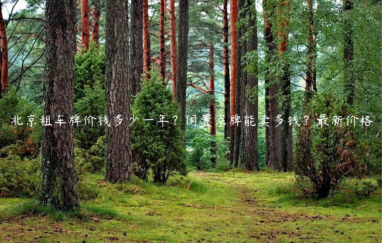北京租车牌价钱多少一年？闲置京牌能卖多钱？最新价格