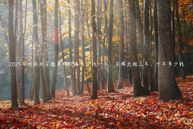2025年对照北京租车牌价格多少钱一年、京牌出租三年、十年多少钱