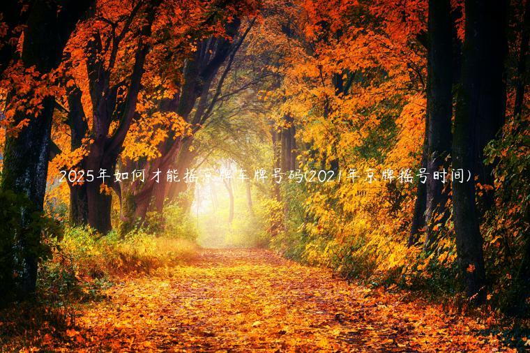 2025年如何才能摇京牌车牌号码(2021年京牌摇号时间)