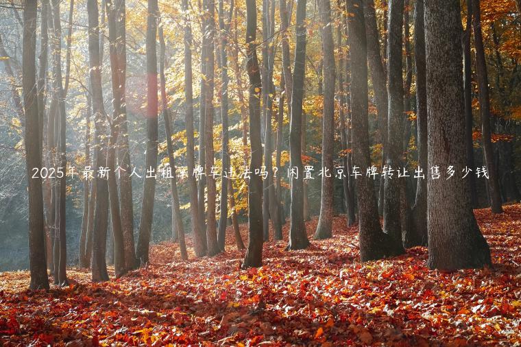 2025年最新个人出租京牌车违法吗？闲置北京车牌转让出售多少钱