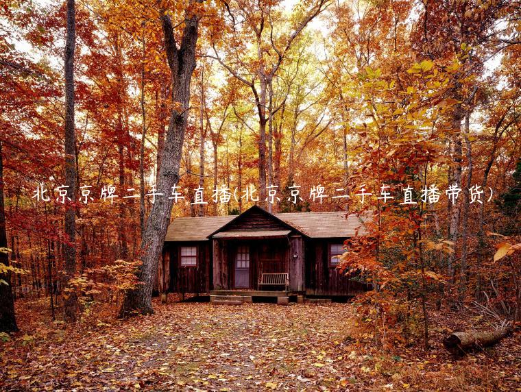 北京京牌二手车直播(北京京牌二手车直播带货)