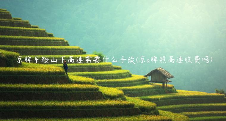 京牌车鞍山下高速需要什么手续(京a牌照高速收费吗)
