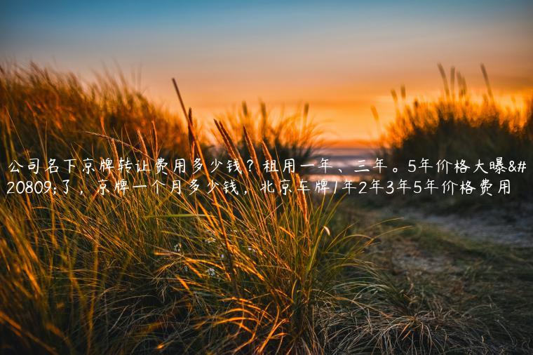 公司名下京牌转让费用多少钱？租用一年、三年。5年价格大曝光了，京牌一个月多少钱，北京车牌1年2年3年5年价格费用