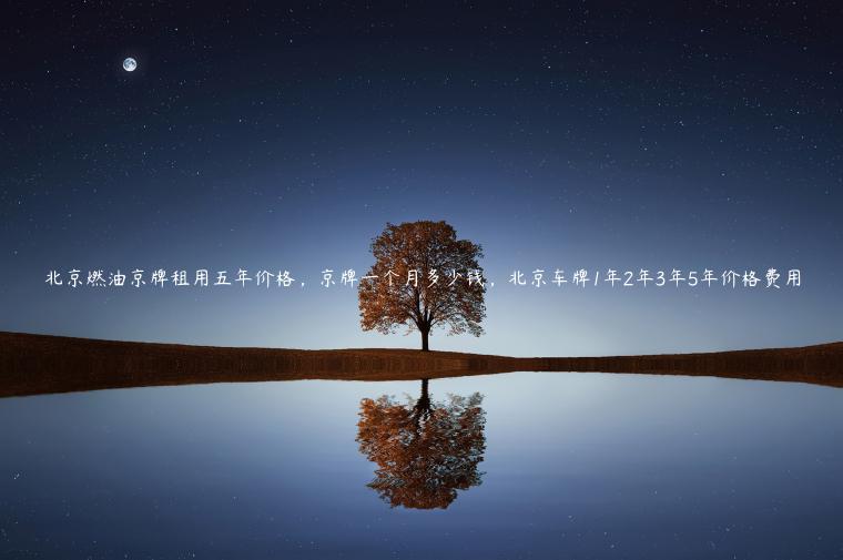 北京燃油京牌租用五年价格，京牌一个月多少钱，北京车牌1年2年3年5年价格费用