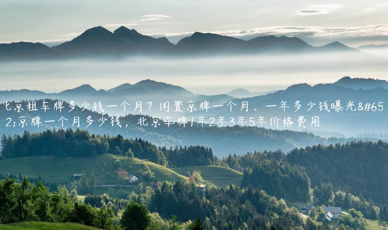 北京租车牌多少钱一个月？闲置京牌一个月、一年多少钱曝光，京牌一个月多少钱，北京车牌1年2年3年5年价格费用