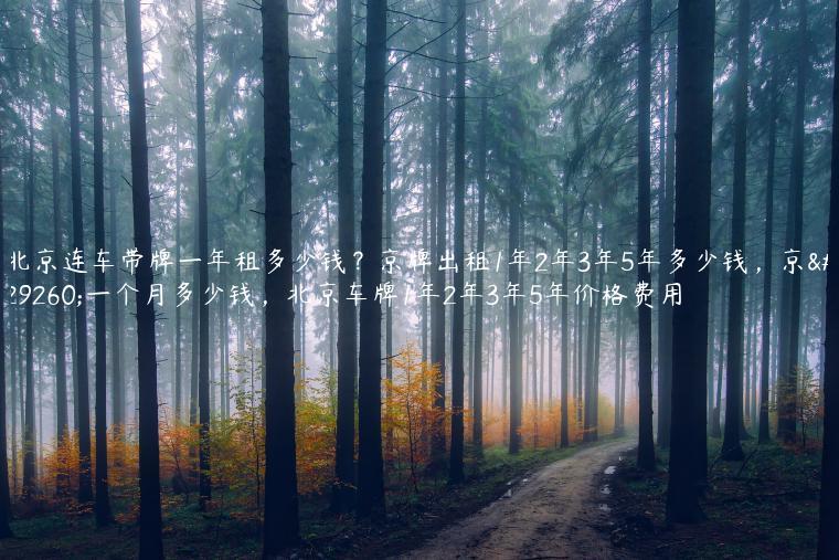 北京连车带牌一年租多少钱？京牌出租1年2年3年5年多少钱，京牌一个月多少钱，北京车牌1年2年3年5年价格费用