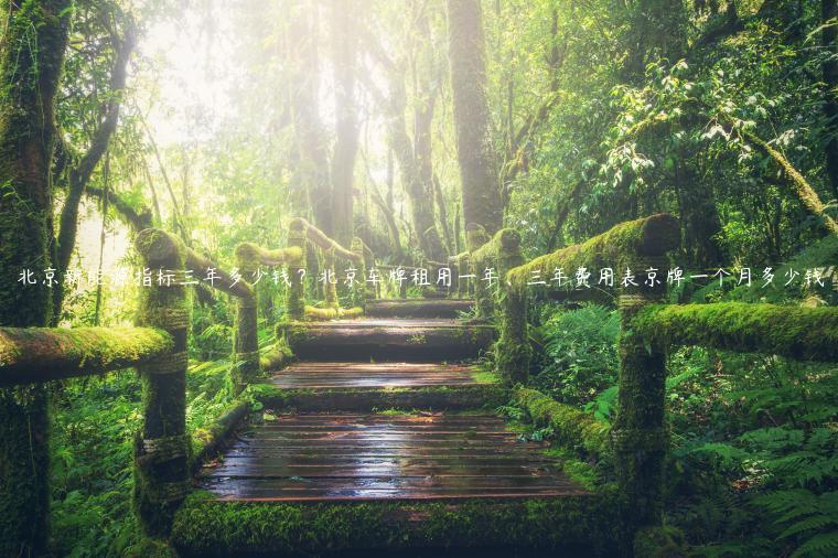 北京新能源指标三年多少钱？北京车牌租用一年、三年费用表京牌一个月多少钱