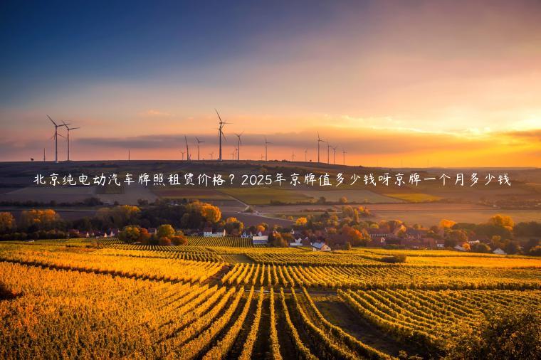 北京纯电动汽车牌照租赁价格？2025年京牌值多少钱呀京牌一个月多少钱