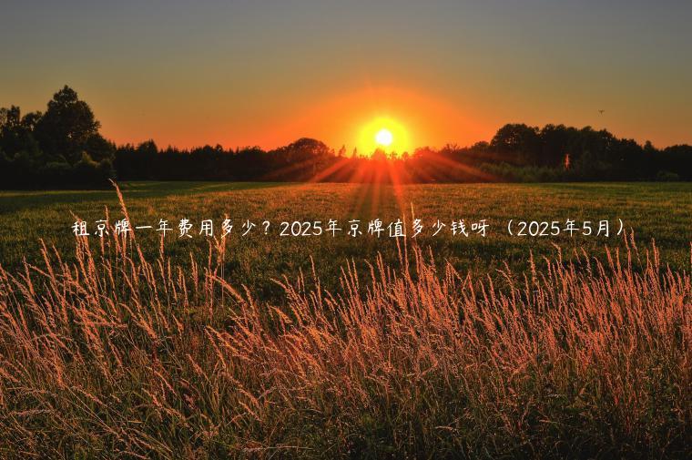 租京牌一年费用多少？2025年京牌值多少钱呀 （2025年5月）