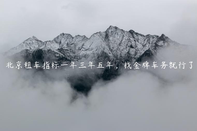 北京租车指标一年三年五年，找金牌车务就行了