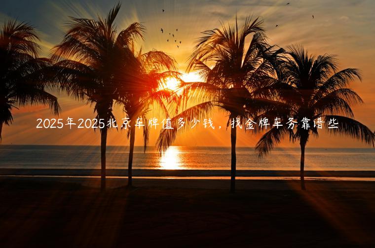 2025年2025北京车牌值多少钱，找金牌车务靠谱些