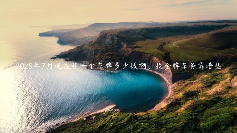 2025年7月现在租一个车牌多少钱啊，找金牌车务靠谱些