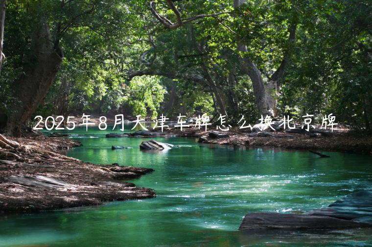2025年8月天津车牌怎么换北京牌