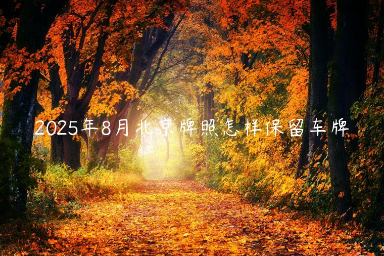 2025年8月北京牌照怎样保留车牌