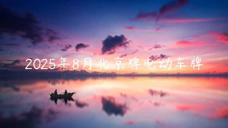 2025年8月北京牌电动车牌