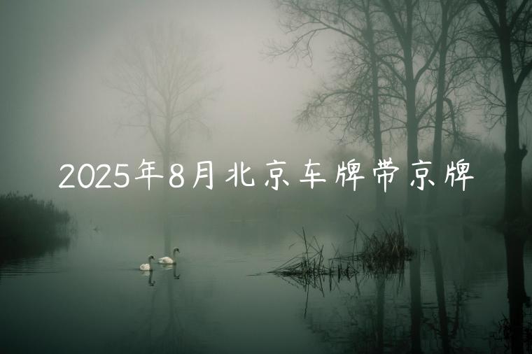 2025年8月北京车牌带京牌